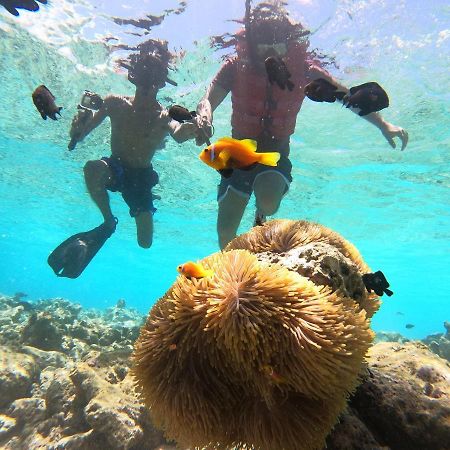 Ocean Vista Maldives,Maafushi 호텔 외부 사진