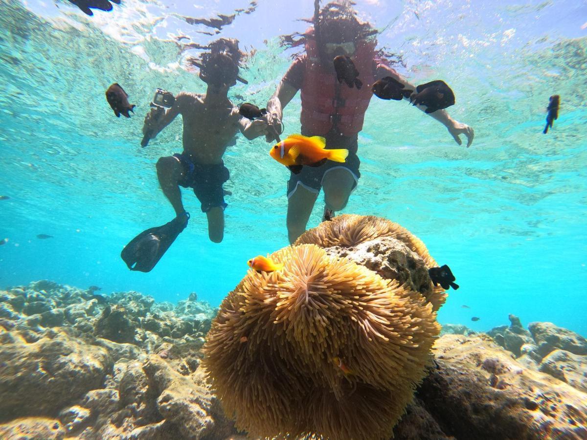 Ocean Vista Maldives,Maafushi 호텔 외부 사진