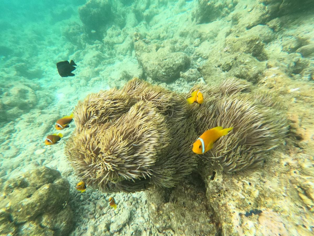 Ocean Vista Maldives,Maafushi 호텔 외부 사진